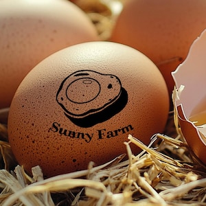 Sellos de huevo personalizados / Sello de huevo en miniatura / Homesteading / Sello de granja / Estampador de huevos / Sello de cartón de huevos / Sello de huevo de pato / Chica de granja / Granja familiar