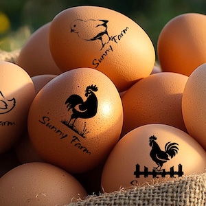 Timbres d'oeufs | Tampons d'oeufs personnalisés | Oeufs de la ferme à la table | Services d'estampes personnalisées | Créez un design personnalisé pour votre entreprise agricole