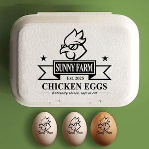 Aangepaste eierdozen stempel kippenboer cadeau, hobbyboerderij gepersonaliseerde eierdoosetiketten, kippenhok achtertuin, verse eieren stamperaccessoires