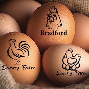 Personalized Egg Stamp, Custom Egg Stamper For Chicken Eggs, Quotes, Phrase, Farmhouse Kitchen Gift, Chicken Gift Egg Seller, Egg stamp