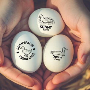 farm duck egg stamp, fun duck egg stamp, farm fresh duck egg rubber stamp, backyard farmer mini stamp, duck lover gift