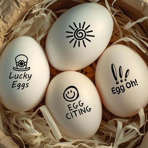 Egg Stamps - Promotions - Mix and Match - Farm Fresh Egg Stamps - Egg Stamps - Backyard Chickens - Egg Carton Stamps - Farm Experts