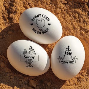 Tampons oeufs de poule pour fermes Tampons oeufs rigolos, Tampons oeufs en caoutchouc pour oeufs frais de ferme, Mini tampons pour fermier de basse-cour, Cadeau amateur de poulet