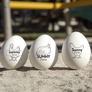 Chicken Egg Stamps For Farms Funny Egg Stampers, Rubber Egg Stamps For Farm Fresh Eggs, Mini Stamps For Backyard Farmer, Chicken Lover Gift