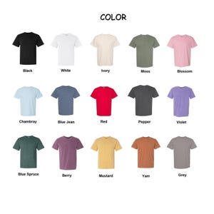 Toy Story Comfort Colors Shirt, Disney Cartoon Graphic Tee, Woody Buzz Lightyear Jessie Alien Shirt, Magic Kingdom Gift