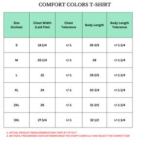 Toy Story Comfort Colors Shirt, Disney Cartoon Graphic Tee, Woody Buzz Lightyear Jessie Alien Shirt, Magic Kingdom Gift