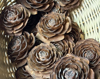 Cedar Rose Pine Cones