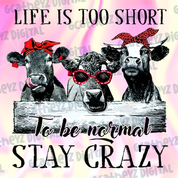 Cow Showing Quotes cow-showing-quotes