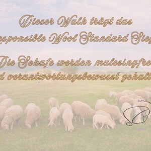 Pode incluir: Uma cena pastoral com um rebanho de ovelhas pastando em grama verde sob um c&eacute;u nublado. A imagem inclui texto em uma fonte decorativa, afirmando que a l&atilde; atende ao Responsible Wool Standard e que as ovelhas s&atilde;o livres de mulesing.