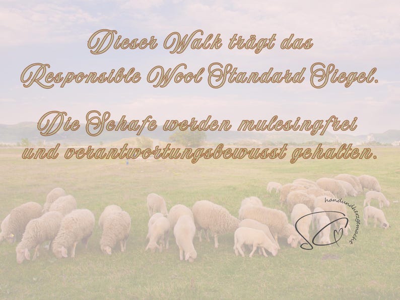 Pode incluir: Uma cena pastoral com um rebanho de ovelhas pastando em grama verde sob um c&eacute;u nublado. A imagem inclui texto em uma fonte decorativa, afirmando que a l&atilde; atende ao Responsible Wool Standard e que as ovelhas s&atilde;o livres de mulesing.