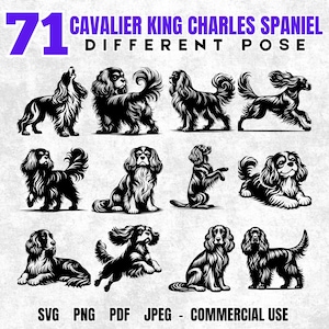 71 Cavalier King Charles Spaniel geschnitten Datei | Hund Clipart Silhouetten | Cricut Sublimation Laser geschnitten Druckdateien