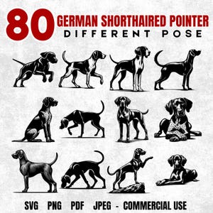 80 German Shorthaired Pointer Svg Png Jpeg Pdf Bundle | Dog Silhouettes Clipart | Files for Cricut Sublimation Prints Laser Cut Crafts