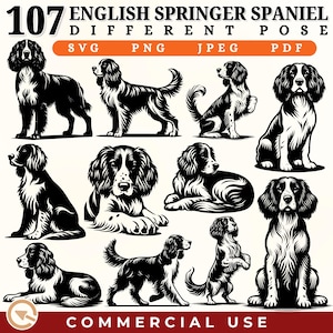 107 English Springer Spaniel Svg Png Jpeg Pdf Bundle | Dog Silhouette Clipart | Files for Cricut Sublimation Prints Laser Cut