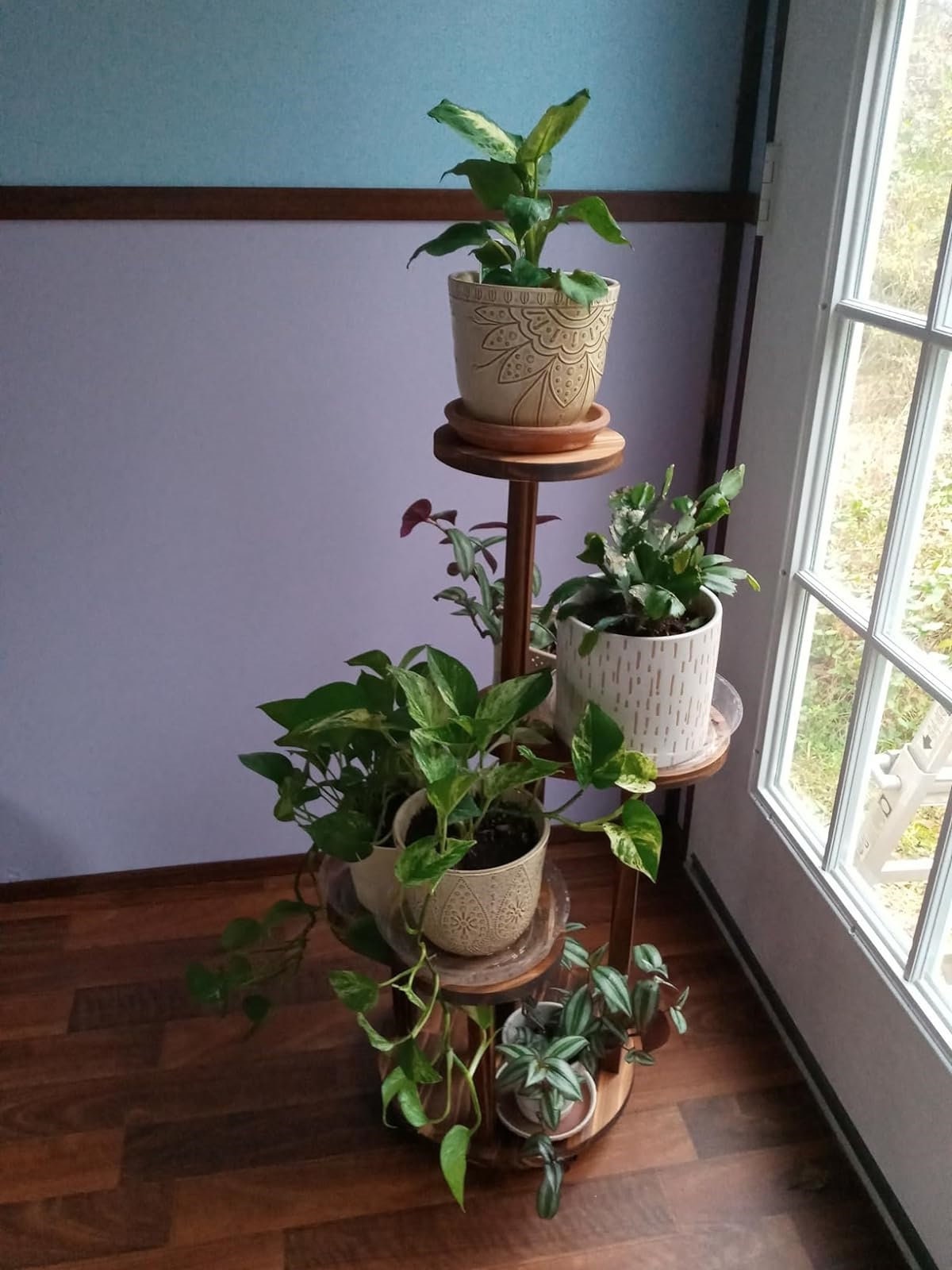 5 Tiered Wood Plant Shelf Corner Display Rack Tall Plant Stand Indoor