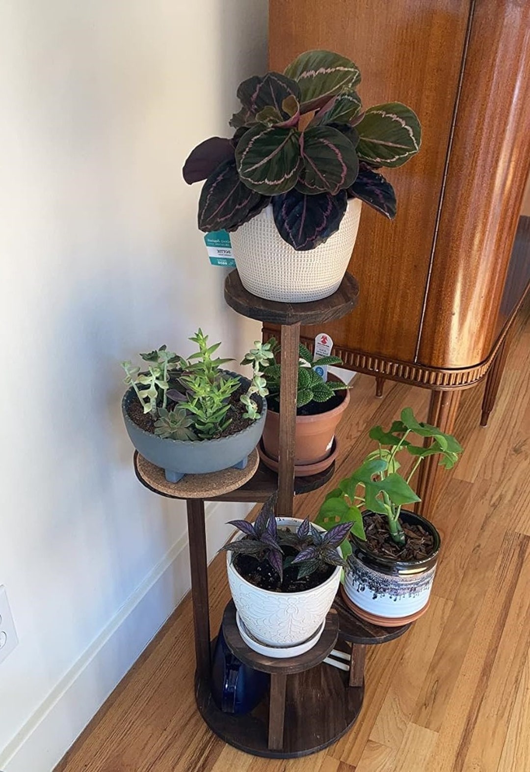 5 Tiered Wood Plant Shelf Corner Display Rack Tall Plant Stand Indoor