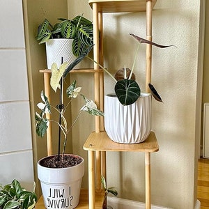 5 Tier Bamboo Corner Tall Shelf Multiple Plant Holders Corner Rack Living Room Balcony and Bedroom Tiered Organizer 38 Inches Plant Stand