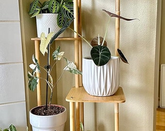 5 Tier Bamboo Corner Tall Shelf Multiple Plant Holders Corner Rack Living Room Balcony and Bedroom Tiered Organizer 38 Inches Plant Stand