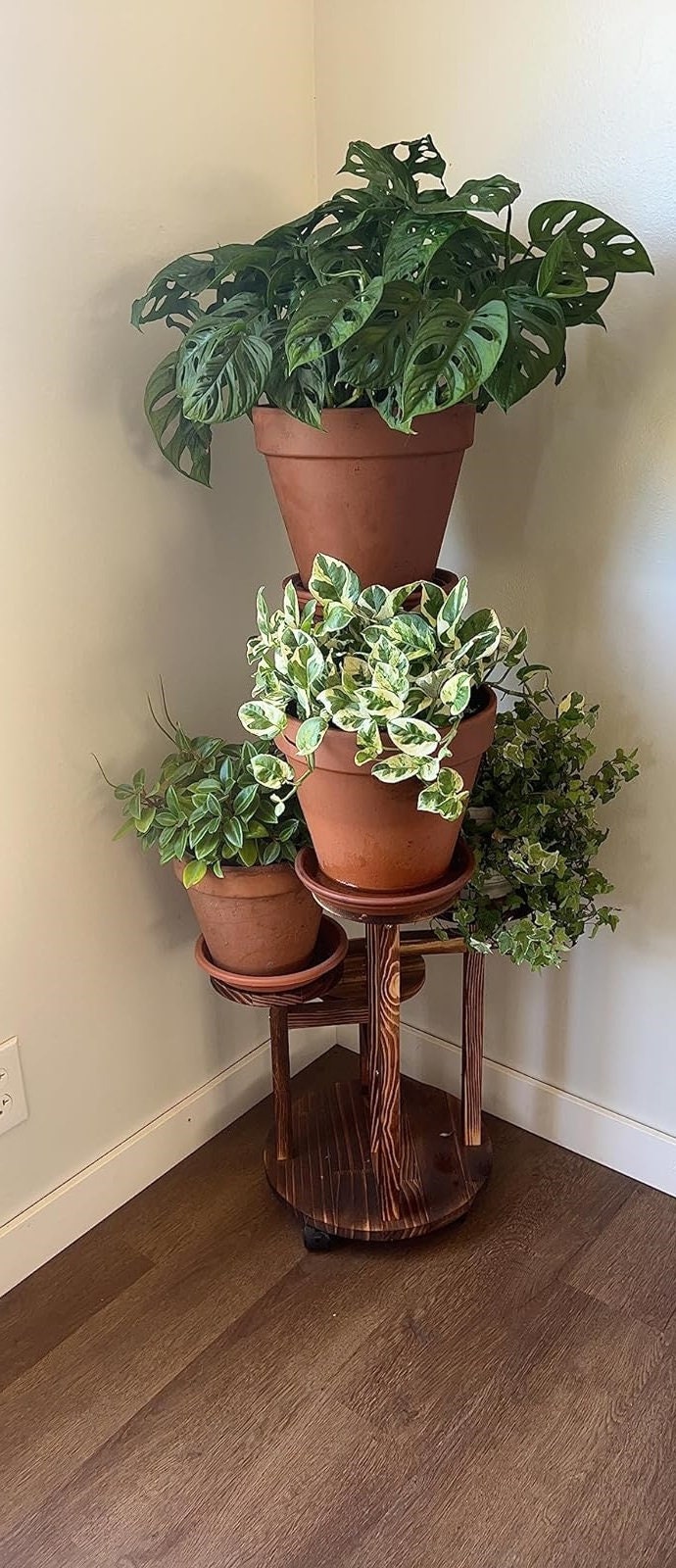 5 Tiered Wood Plant Shelf Corner Display Rack Tall Plant Stand Indoor