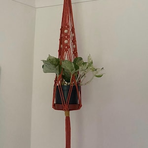 May include: A burnt orange macrame plant hanger, suspended from a wooden ring. It holds a black pot with a green and white plant. The design features decorative knots and a tassel. The plant holder is designed to be hung from the ceiling.
