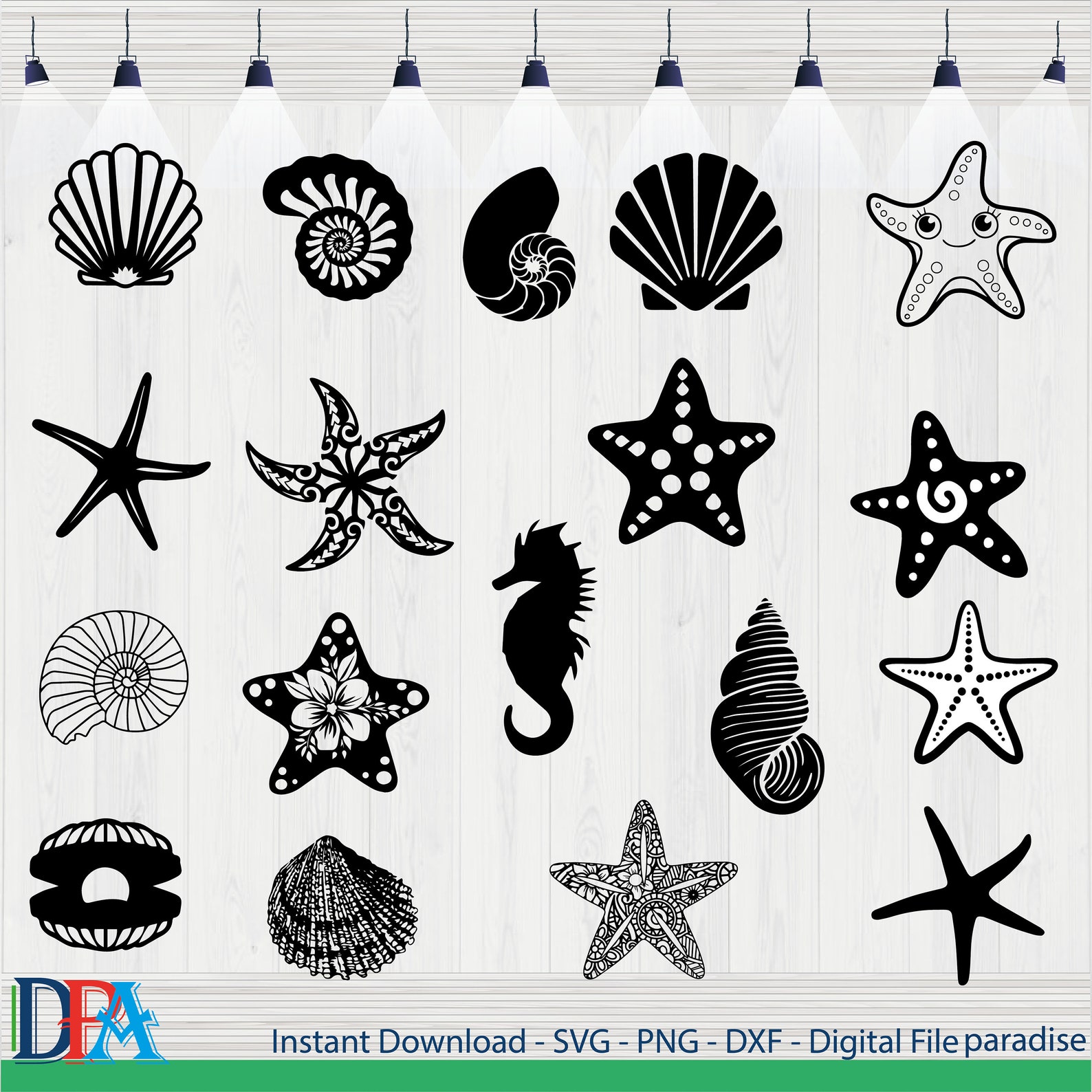 Seashell SVG, Seashell Cricut, Seashell Cut Files, Seashell Silhouette ...