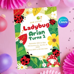 Ladybug Invitation, Lady Bug Birthday Invite, Printable 1st Birthday Party Template, Cute Ladybug Themed Invite, Kids Birthday Party