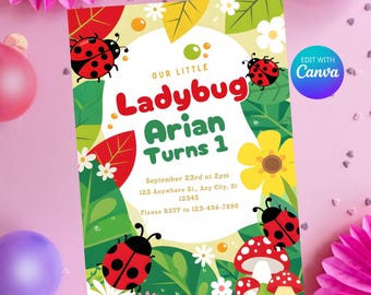 Ladybug Invitation, Lady Bug Birthday Invite, Printable 1st Birthday Party Template, Cute Ladybug Themed Invite, Kids Birthday Party