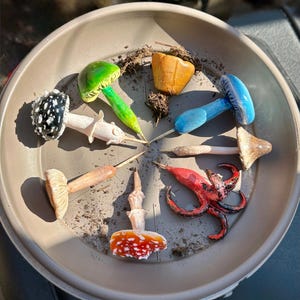 May include: A collection of eight hand-painted ceramic mushroom figurines in various colours and styles, including red and white, green, blue, and brown. The mushrooms are arranged in a circular pattern on a brown ceramic plate.