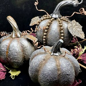 May include: Three silver pumpkins with a textured finish. The pumpkins are decorated with metallic accents and have a rustic, vintage look.
