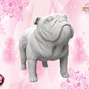 Puede incluir: Un modelo 3D impreso en blanco de un bulldog, de pie sobre un fondo rosa con diseños florales y mariposas.