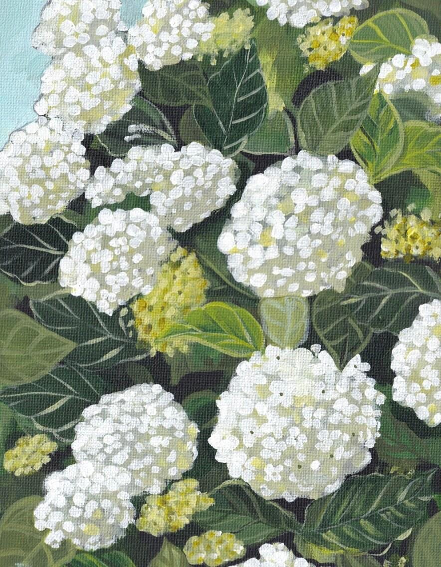 White Hydrangea Print Botanical Wall Art Display Living Room Decoration ...
