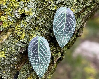 Orecchini con Foglie Verde Scuro Gioielli Botanici con Piante Tropicali Regalo per Lei
