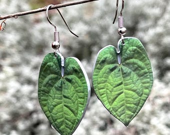 Orecchini con Foglie di Anthurium Luxurians Gioielli Botanici con Piante Tropicali per Amanti Natura