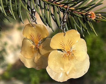 Yellow Real Pansy Flower in Resin Earrings Botanical jewelry from Garden Gift for Girl