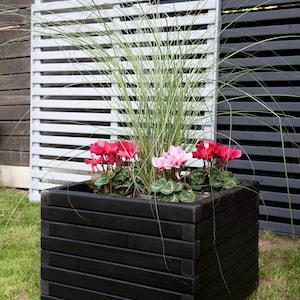 May include: A black wooden planter box with a variety of pink and red flowers and green grass growing inside. The planter is sitting on a green lawn in front of a wooden fence.