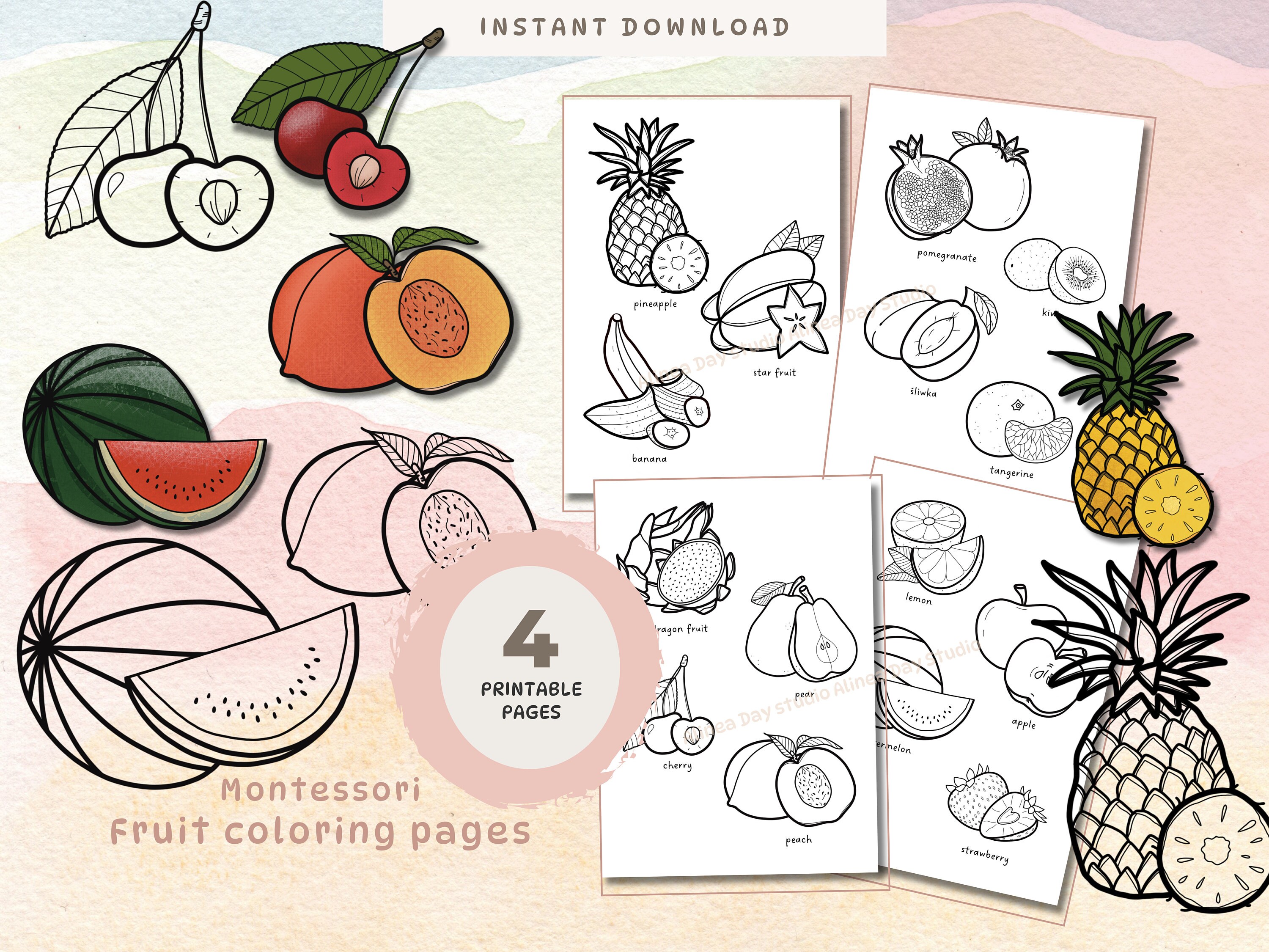 Montessori Realistic Fruit Coloring Pages Printable Homeschool