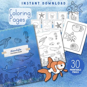 Desenhos para colorir sobre a vida marinha para crianças: Animais do oceano Montessori (PDF)