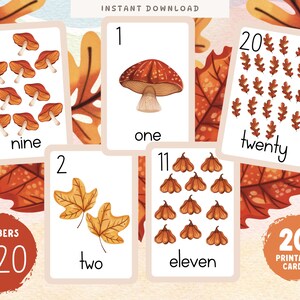 Tarjetas con números del 1 al 20 sobre la naturaleza en otoño, actividad imprimible de otoño, tarjetas didácticas de conteo temprano de Charlotte Mason para preescolar, matemáticas para el aula de educación en el hogar