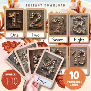 Nature Number Cards 1-10: Fall Classroom Decor (PDF)