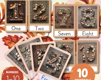 Nature Number Cards 1-10: Fall Classroom Decor (PDF)