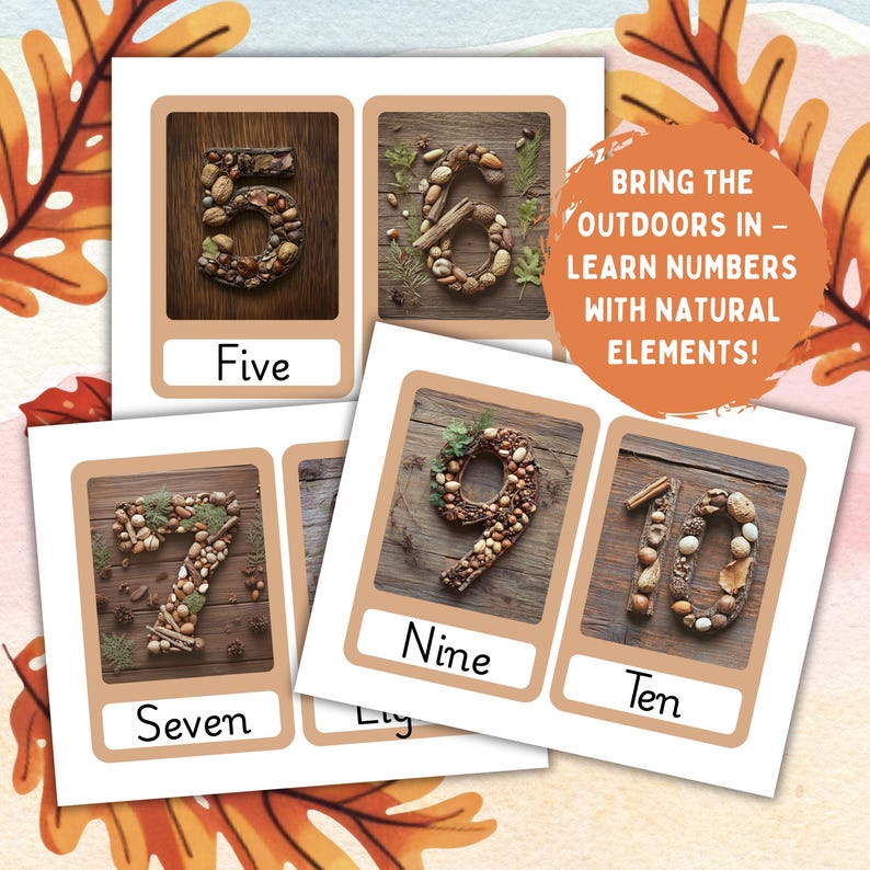 Nature Number Cards 1-10: Fall Classroom Decor (PDF) image 6