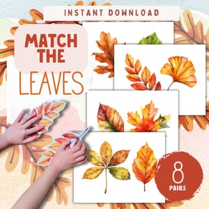 Juego de emparejamiento de hojas de otoño / Actividad de emparejamiento de naturaleza Montessori / Identificación de hojas de otoño para niños / Juego de aprendizaje de otoño para preescolares