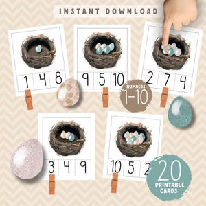 May include: Set of 20 printable cards featuring a brown bird's nest with colorful eggs. Each card has a number grid with numbers 1-10. The cards are designed for counting and number recognition activities.