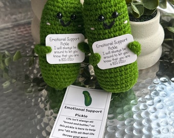 Helpful Support Crochet Positivity Pickle - Positivity Gift