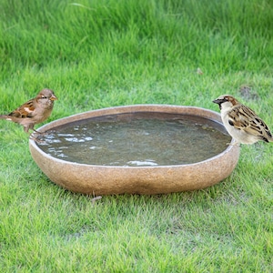 Peut inclure: Un abreuvoir en pierre rempli d'eau, posé sur de l'herbe verte. Deux petits moineaux bruns et beiges se perchent sur le bord du bain. L'abreuvoir a un aspect naturel et terreux, se fondant dans le cadre extérieur.