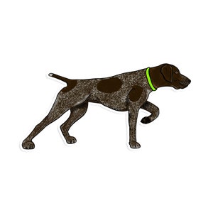 German Shorthaired Pointer Sticker