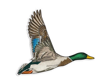 Mallard Duck Sticker