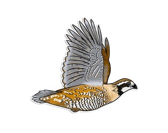 Bobwhite Quail Sticker