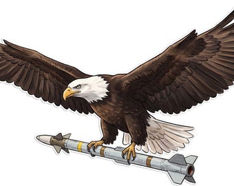 Bald Eagle carrying Sidewinder Missile USA 250