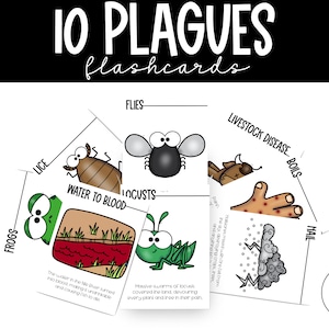 May include: A set of 10 colorful flashcards depicting the plagues of Egypt from the Bible. Each card features a cartoon illustration of a plague, such as frogs, lice, flies, locusts, and hail, along with a brief description of the event.