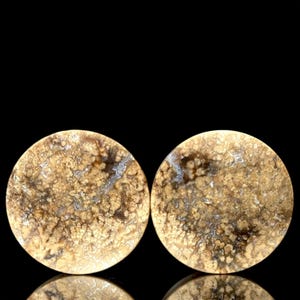 May include: Two circular stone plugs with a mottled pattern in shades of tan, brown, and grey. The plugs have a polished surface and are set against a black background. The plugs are for ear piercings.